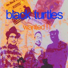 music band black turtles album wanted