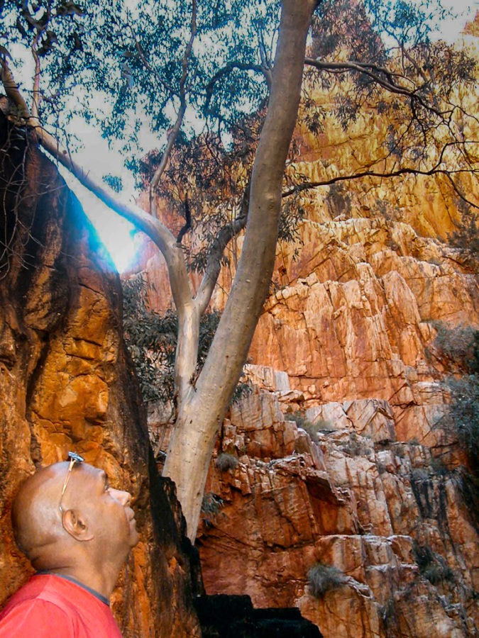 aboriginal walangari karntawarra visiting standley chasm near alice springs