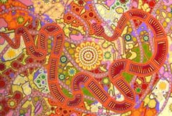 Snake Dreaming 077