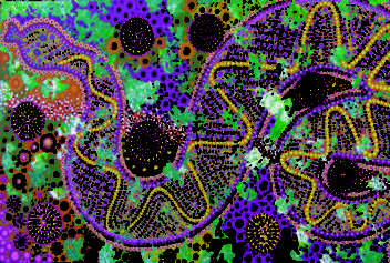 Snake Dreaming 1997