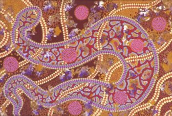 Yarrapirri 971